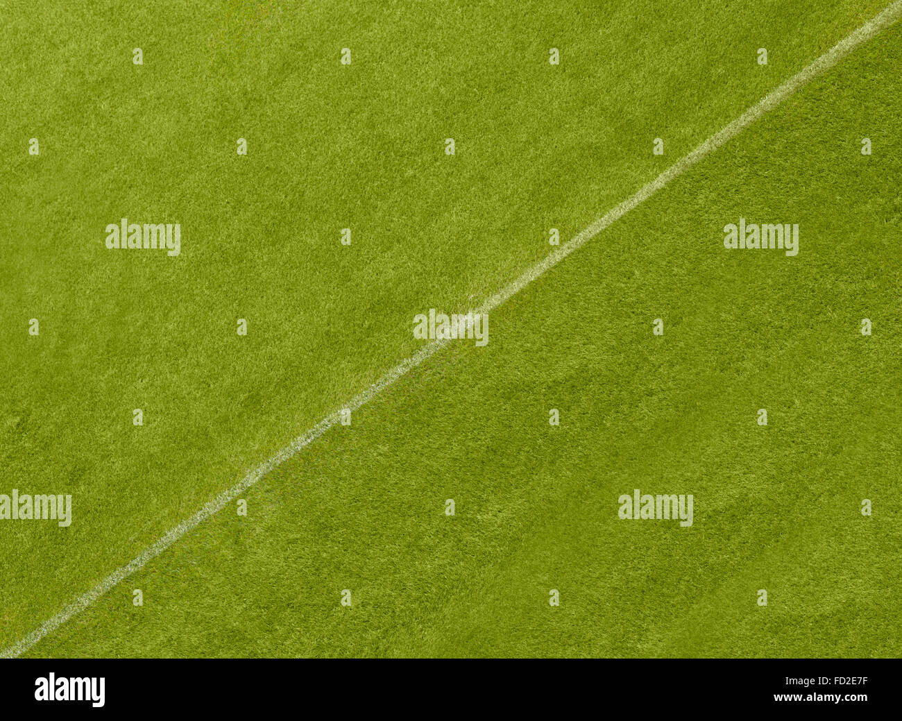 A white line diagonally dividing a grass playing surface Stock Photo