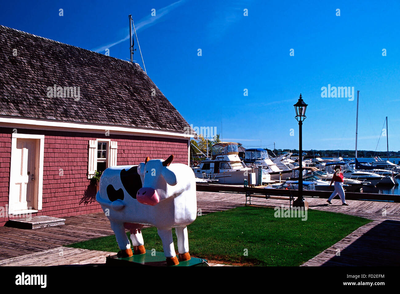 Cow's cow at Peakes Wharf, Charlottetown,Prince Edward Island Stock