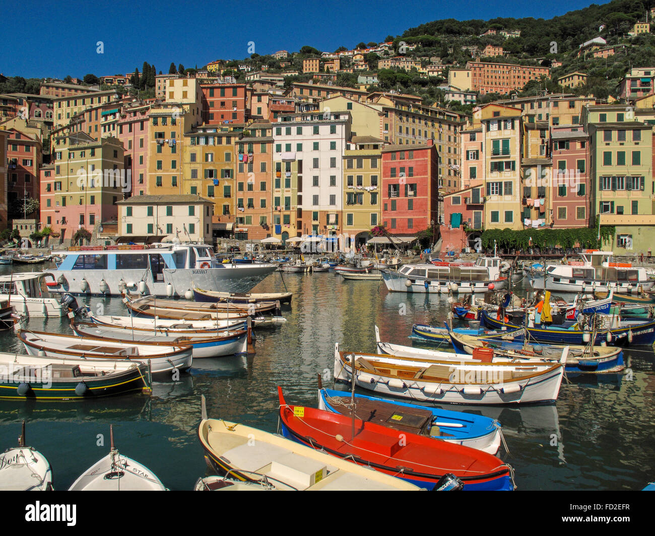Italy Liguria Camogli Boats in Port Stock Photo