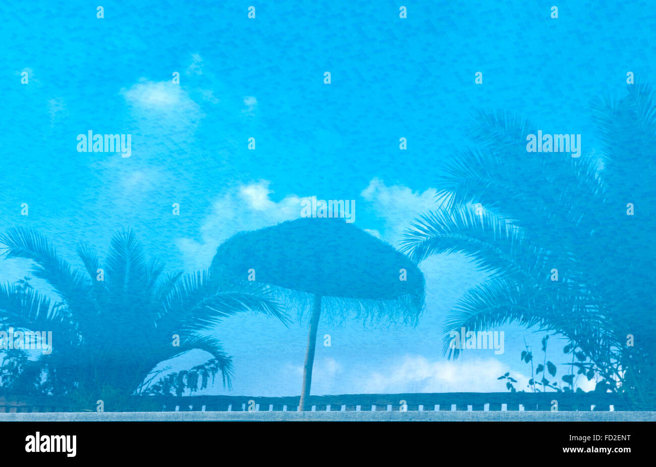 Reflections of palm trees in a pool hi-res stock photography and images ...