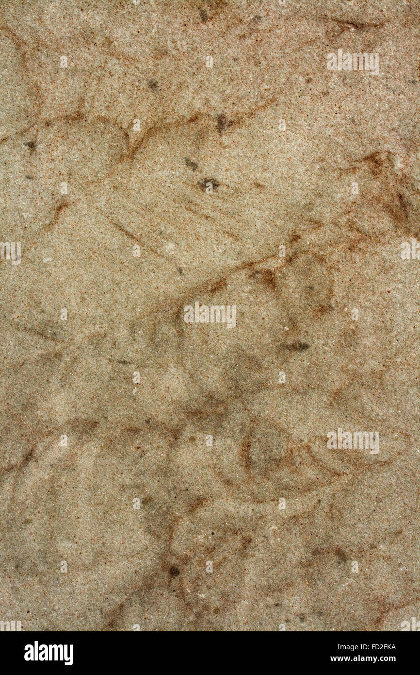 Sandstone Texture Stock Photo