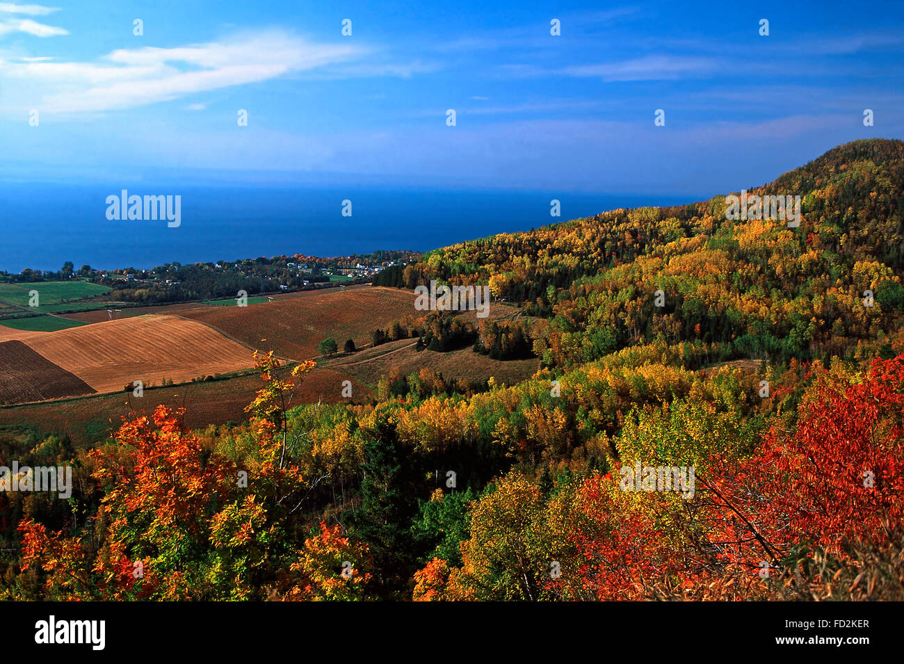 Fall color from atop Mt.Joseph,Gaspe Peninsula,Quebec Stock Photo