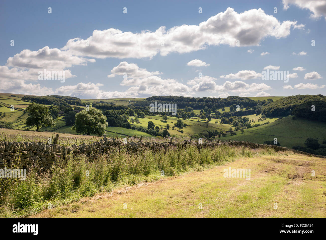 Beautiful summer countryside near Chapel-en-le-frith in Derbyshire. Stock Photo