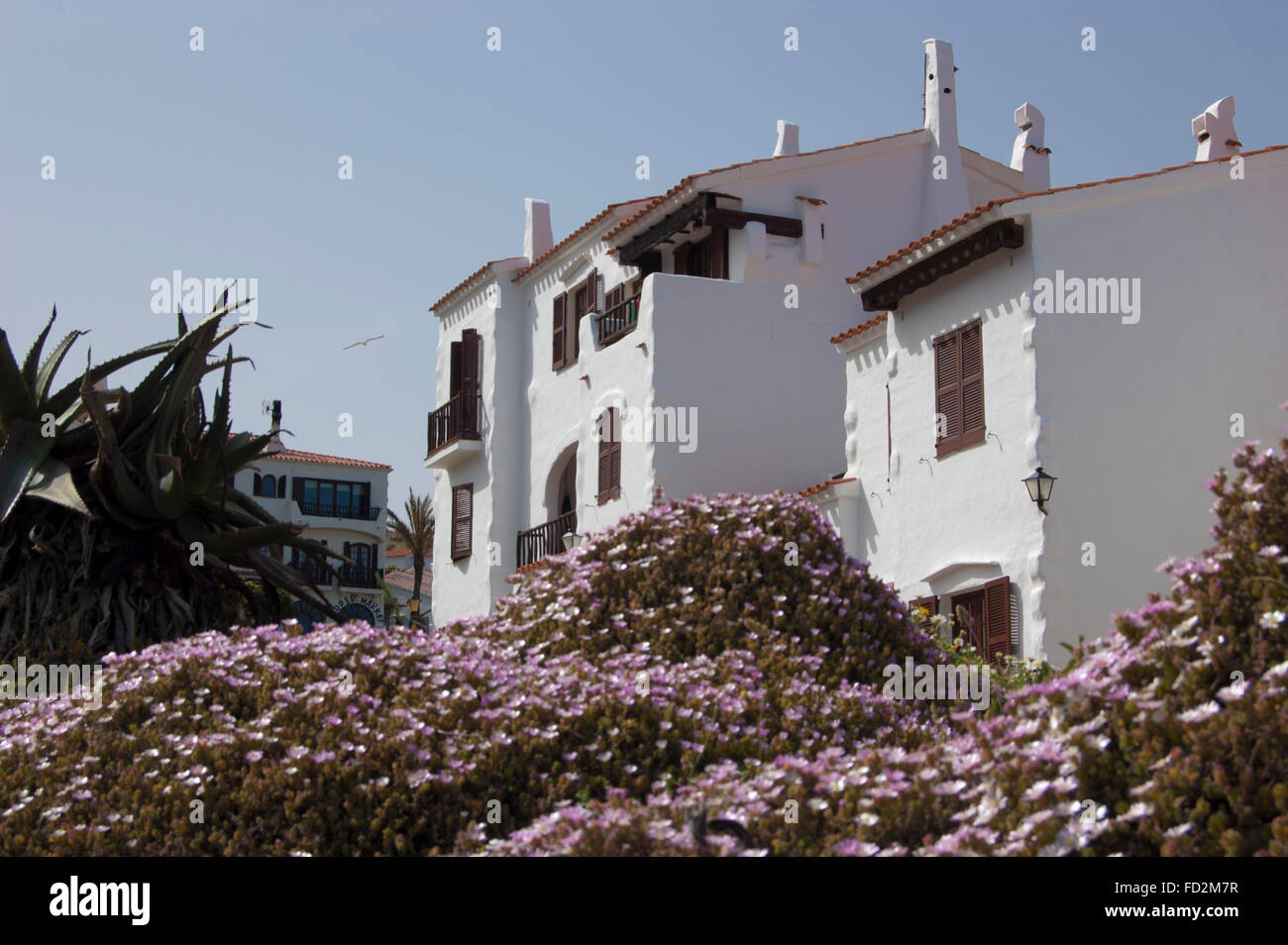 Purple flowers below white houses, Menorca, Spain Stock Photo
