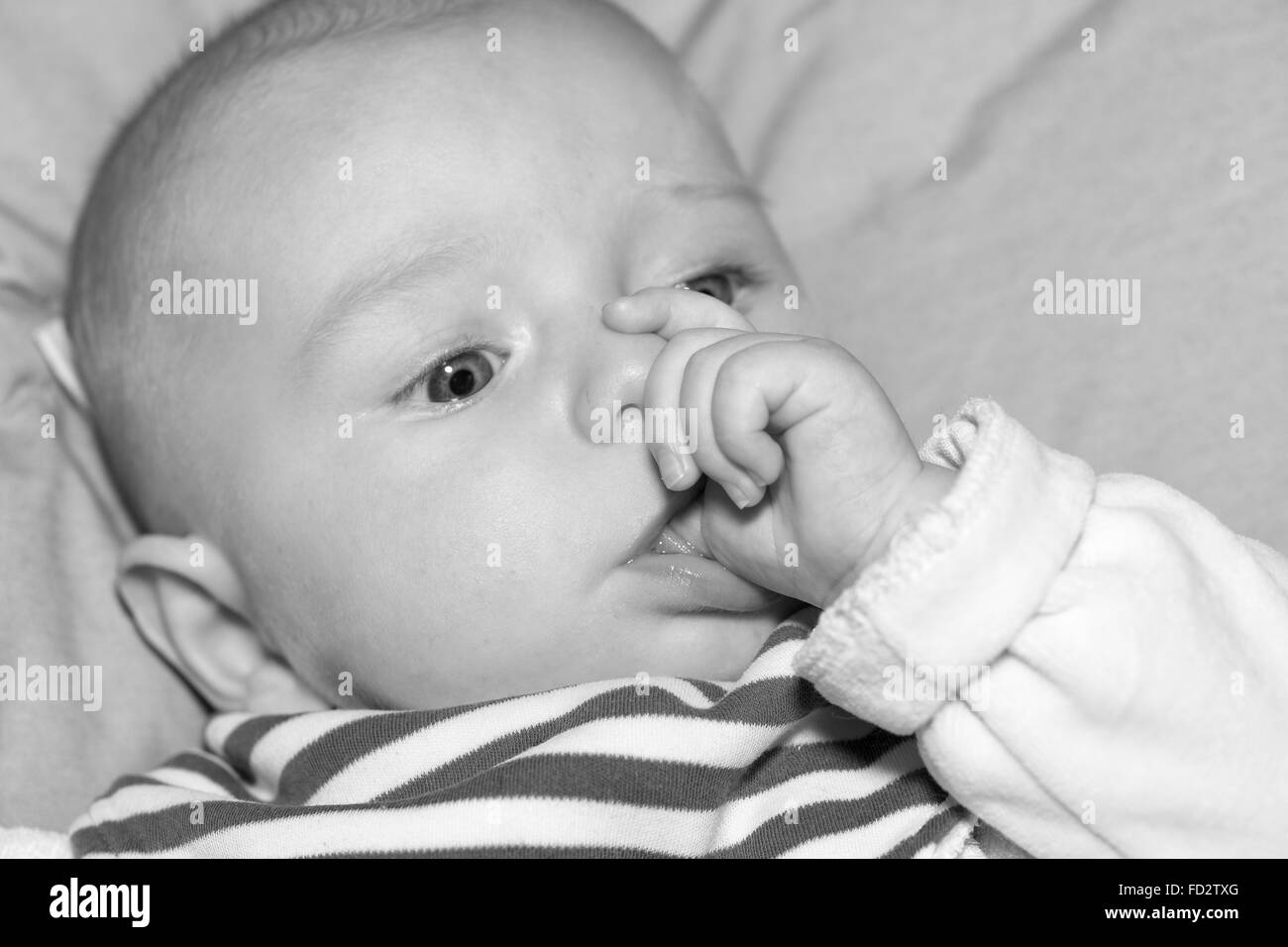 Portrait of a four months old baby boy black and white caucasian Stock