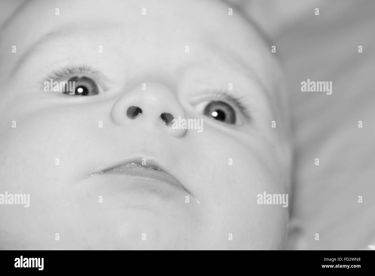 Portrait of a four months old baby boy black and white caucasian Stock