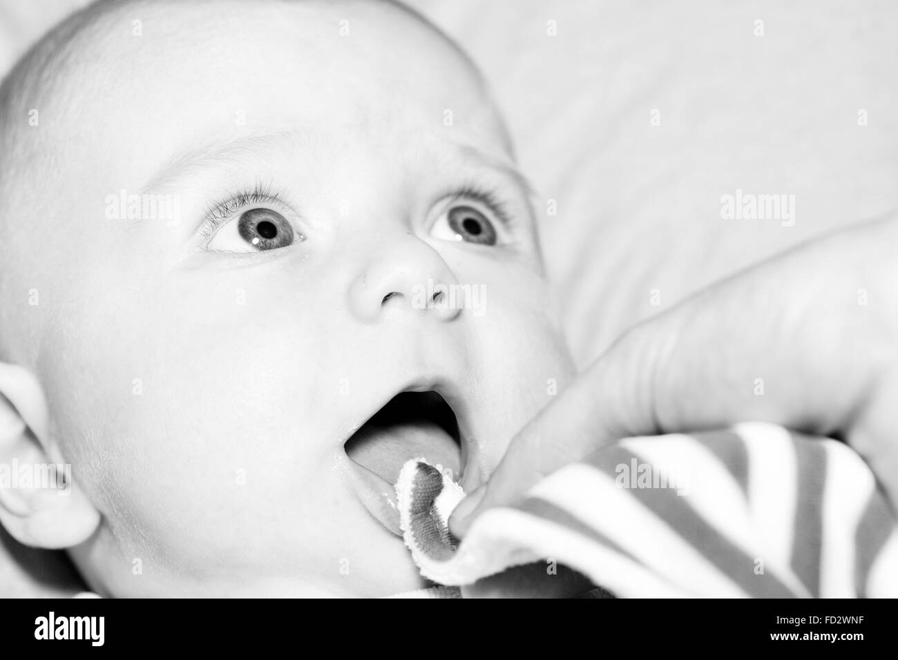 Portrait of a four months old baby boy black and white caucasian Stock