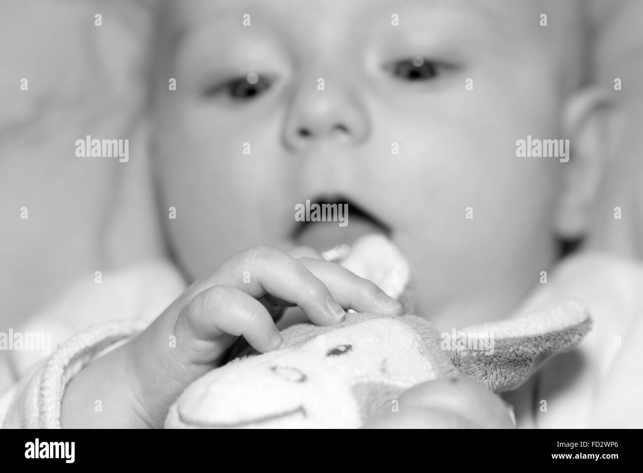 Portrait of a four months old baby boy black and white caucasian Stock Photo