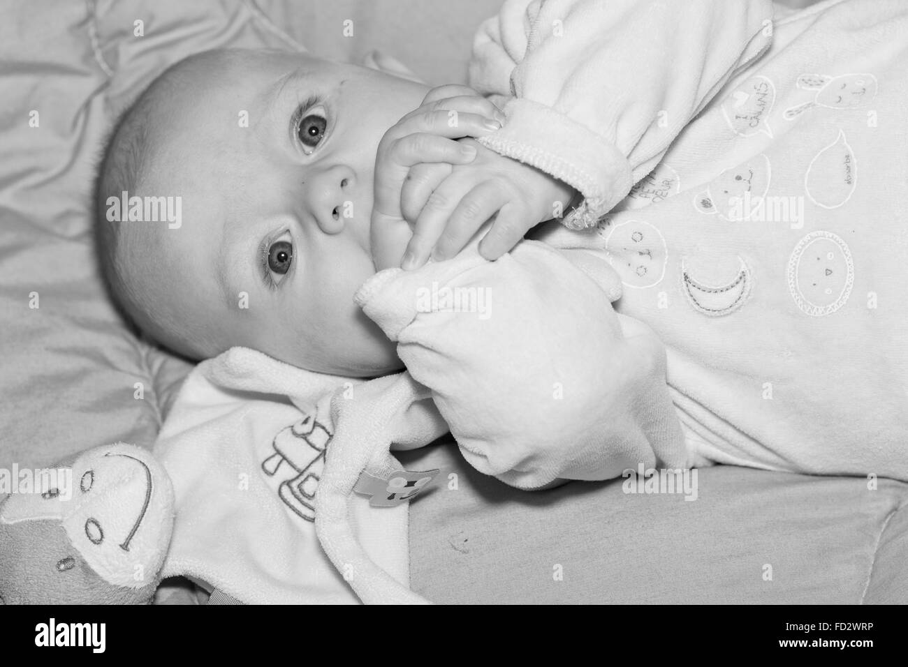Portrait of a four months old baby boy black and white caucasian Stock