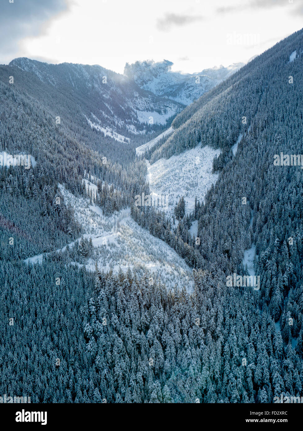 Aerial winter view of clear cut logging; Selkirk Mountains near remote Mount Carlyle Lodge;  British Columbia; Canada Stock Photo