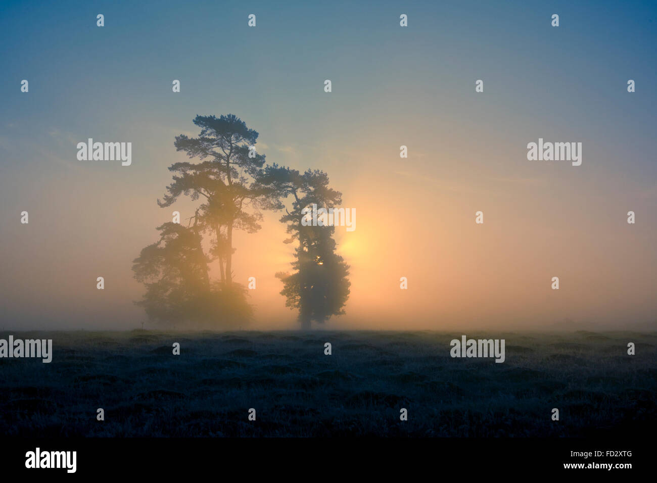 Misty Sunrise Stock Photo