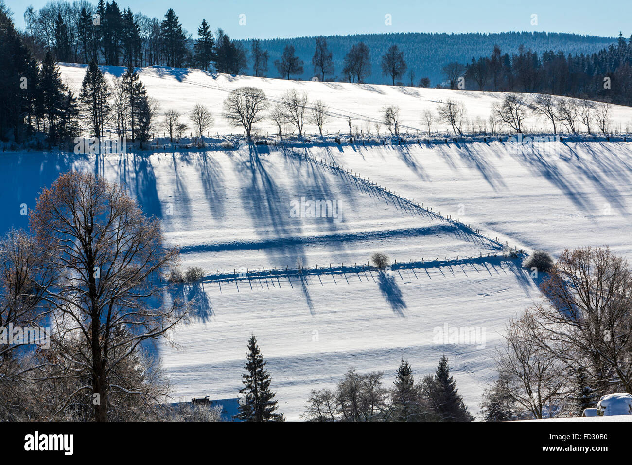 Winter, snowy landscape in the Sauerland area, Germany, Stock Photo