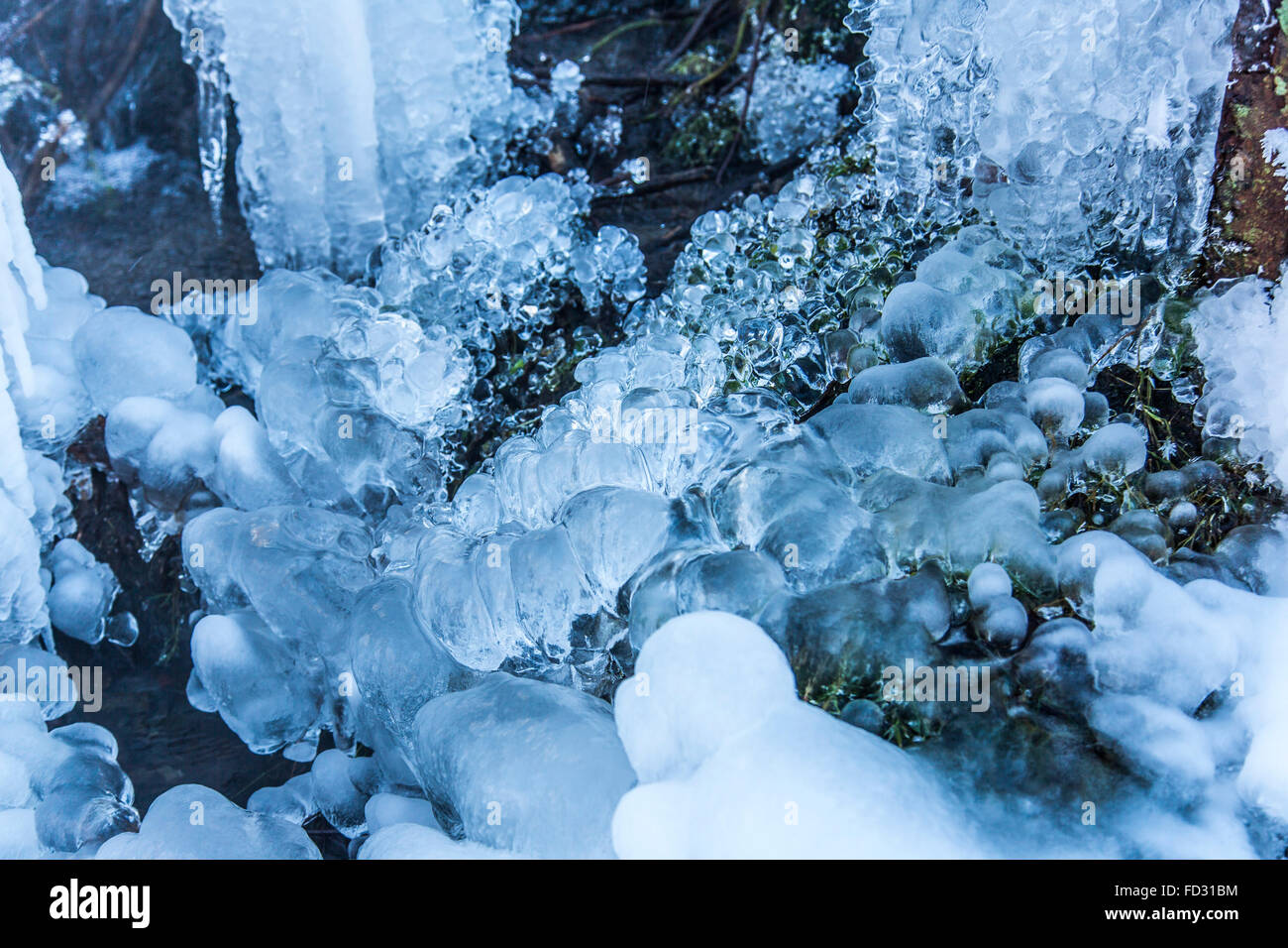 Frozen creek, frozen water, drops, ice in a stream, winter, Sauerland area, Germany Stock Photo