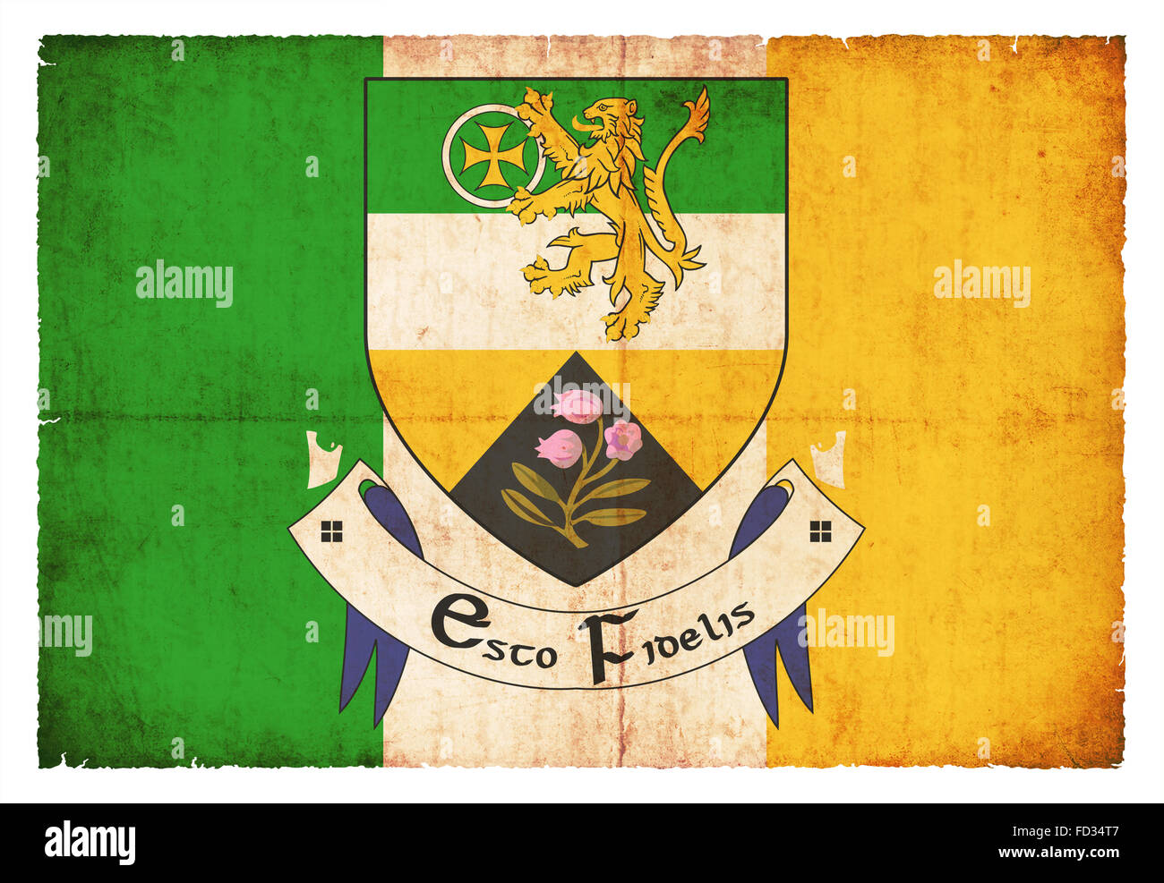 Flag of the Irish county Offaly created in grunge style Stock Photo