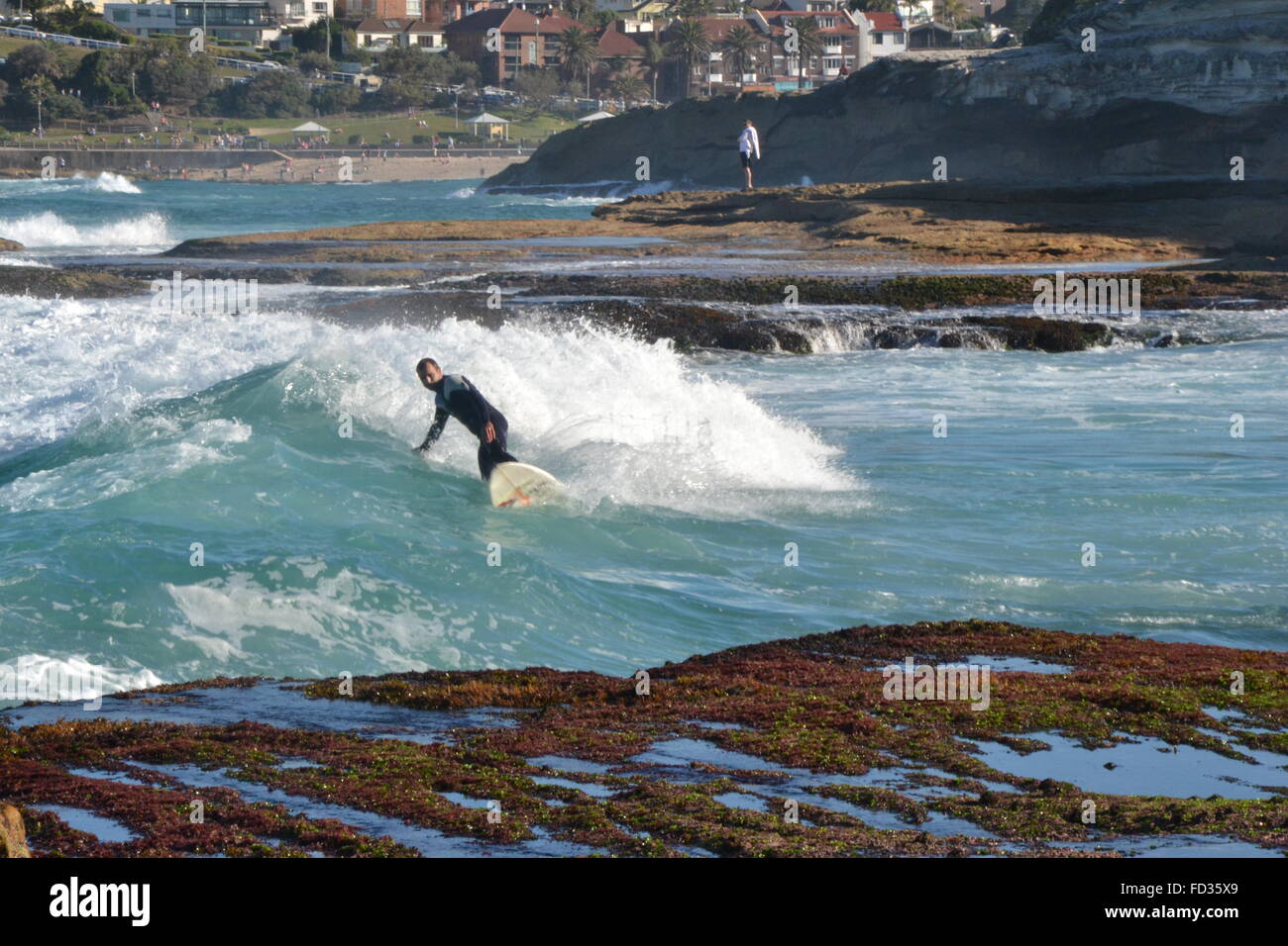 Australian surfer, Bondi Junction, Sydney Stock Photo