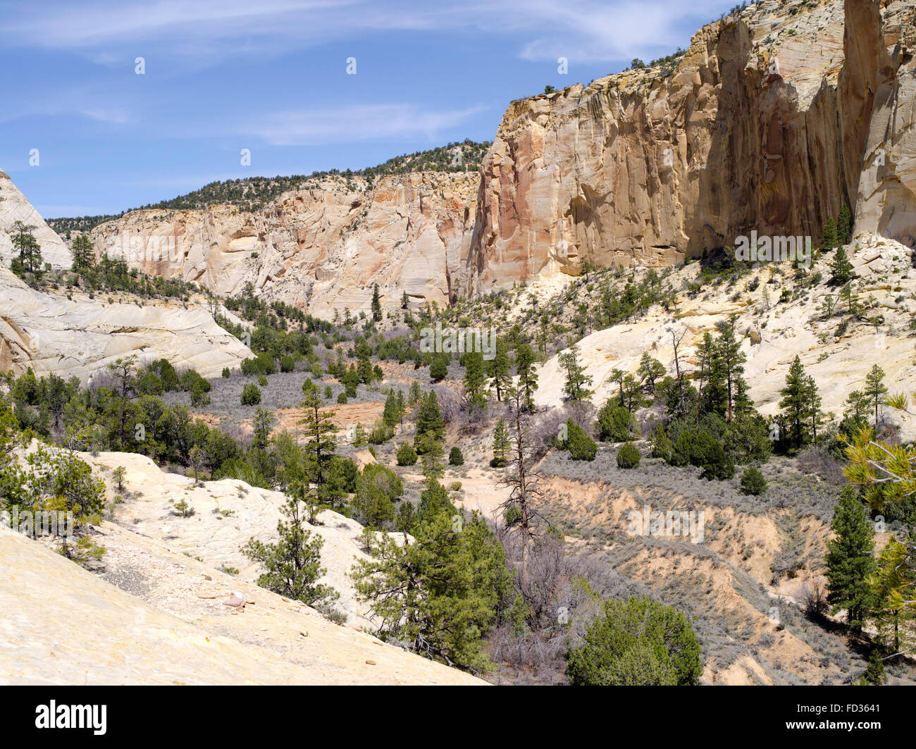 The cross-bedded sandstone walls of Lick Wash, Grand Staircase-Escalante National Monument, near Kanab, Utah. Stock Photo