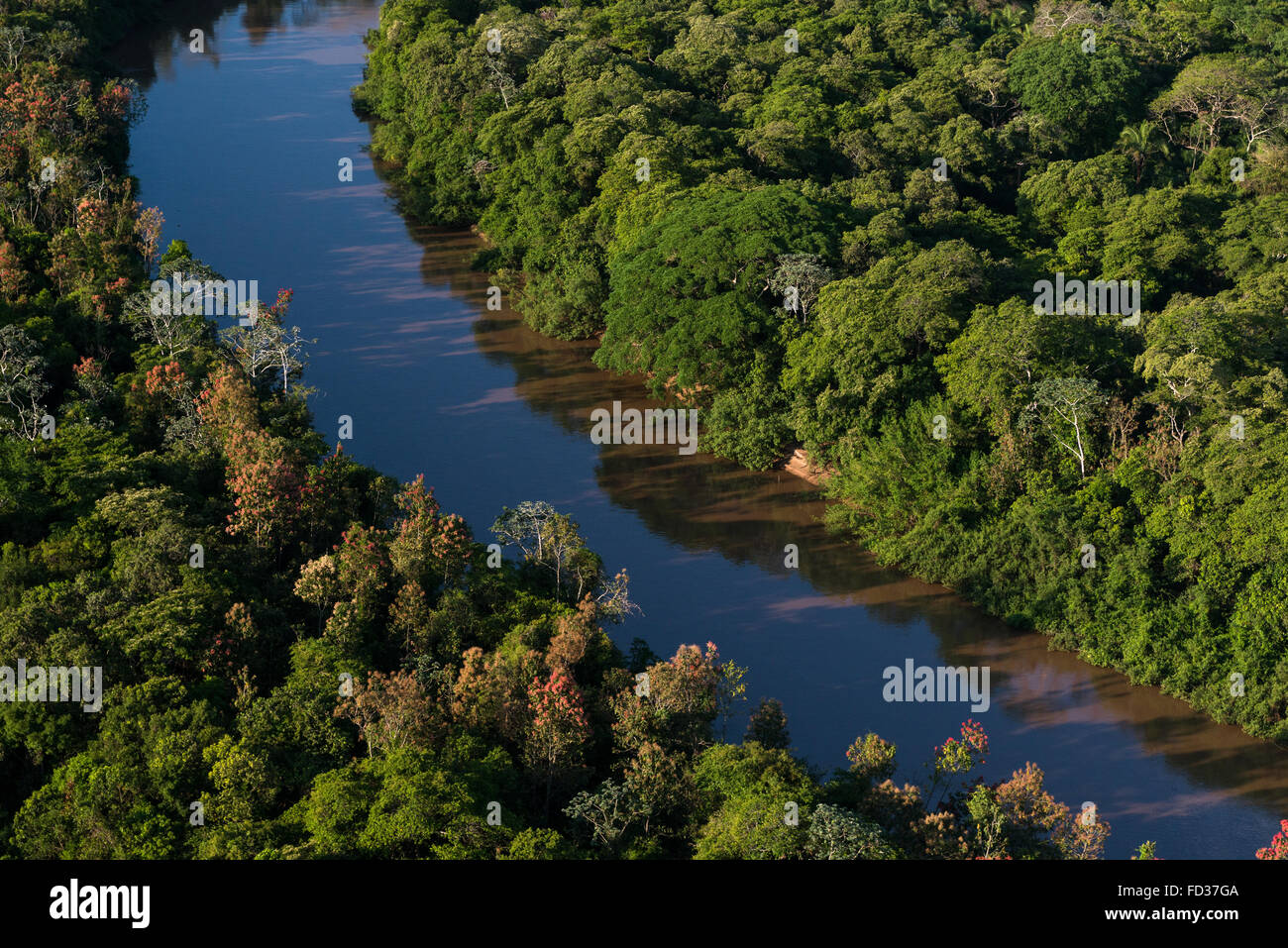 Aquidauana River in the Pantanal Stock Photo
