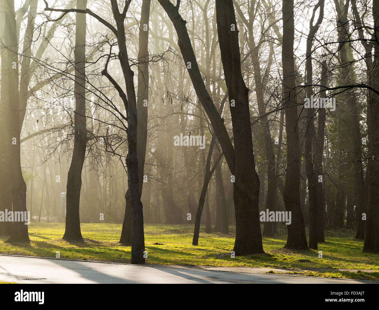 Foggy day hi-res stock photography and images - Alamy
