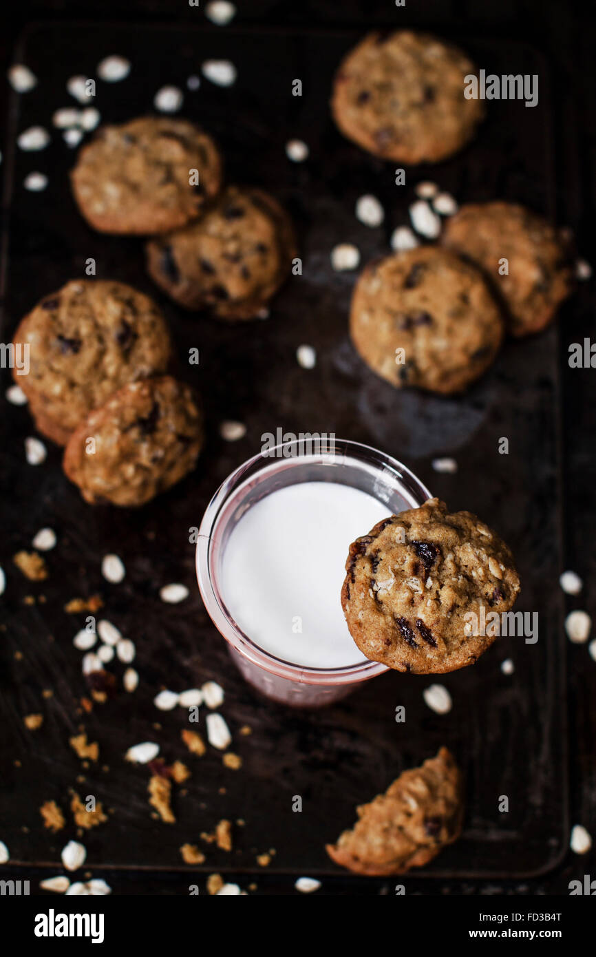 Rich oat cookies with raisin and chocolate chips, having crunchy edges
