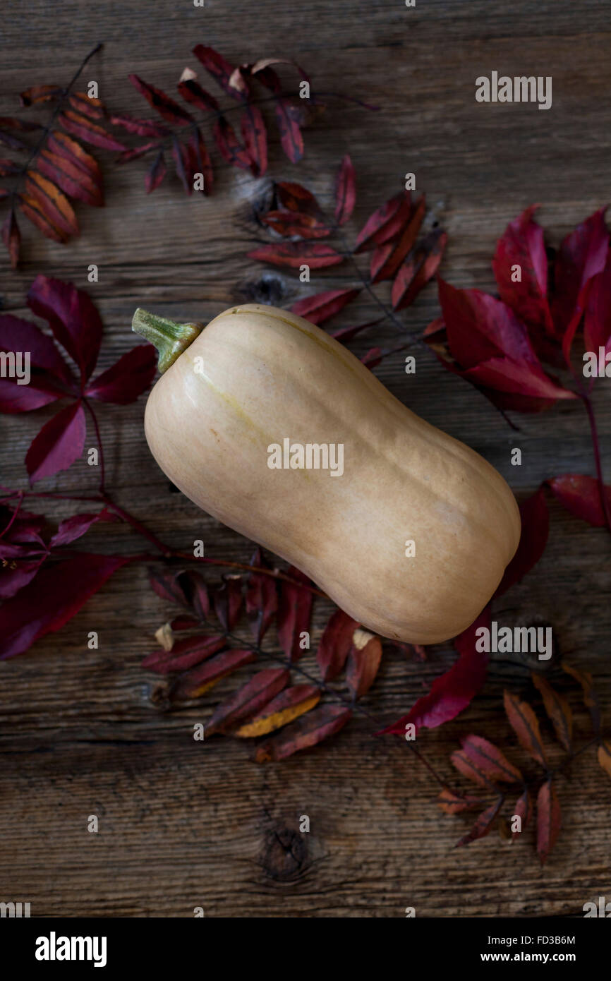 Butternut squash and Autumn leaves Stock Photo Alamy