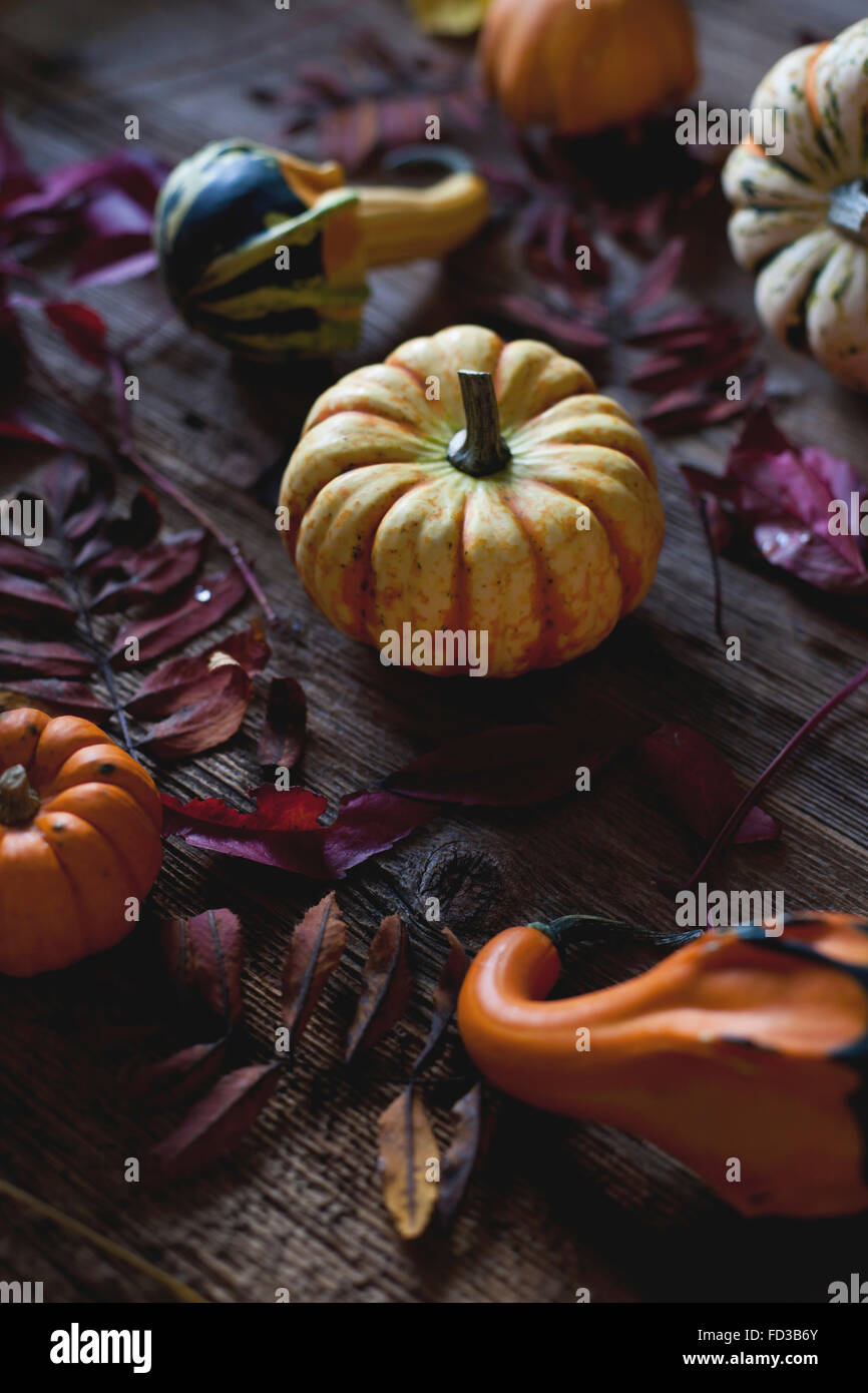 Different varieties of pumpkins and Autumn leaves on a rustic wooden ...