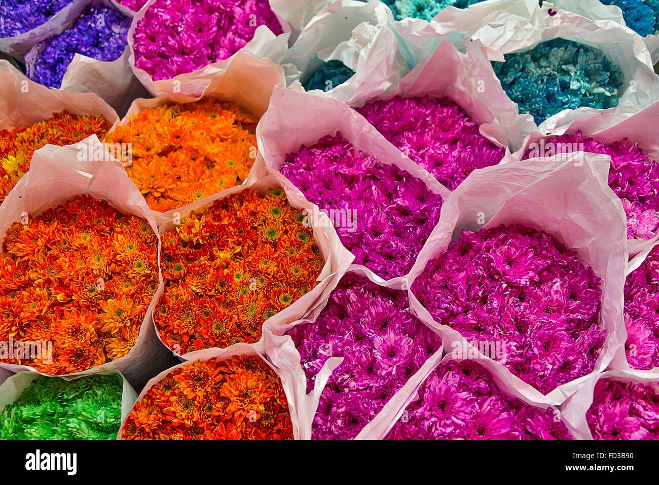 At a flower market in Bangkok, Thailand Stock Photo
