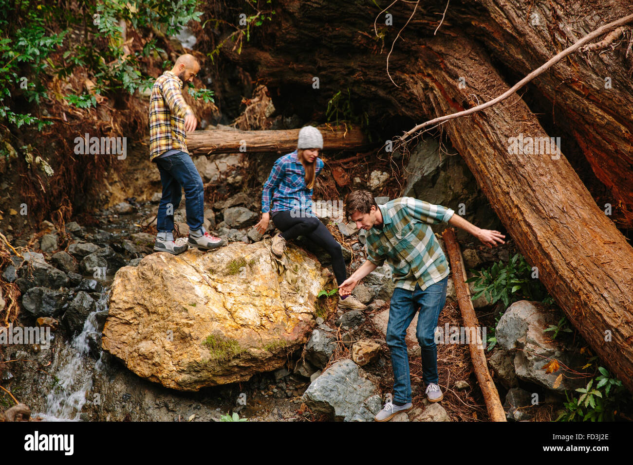 Three friends hike through a redwood forest in Big Sur, California. Stock Photo