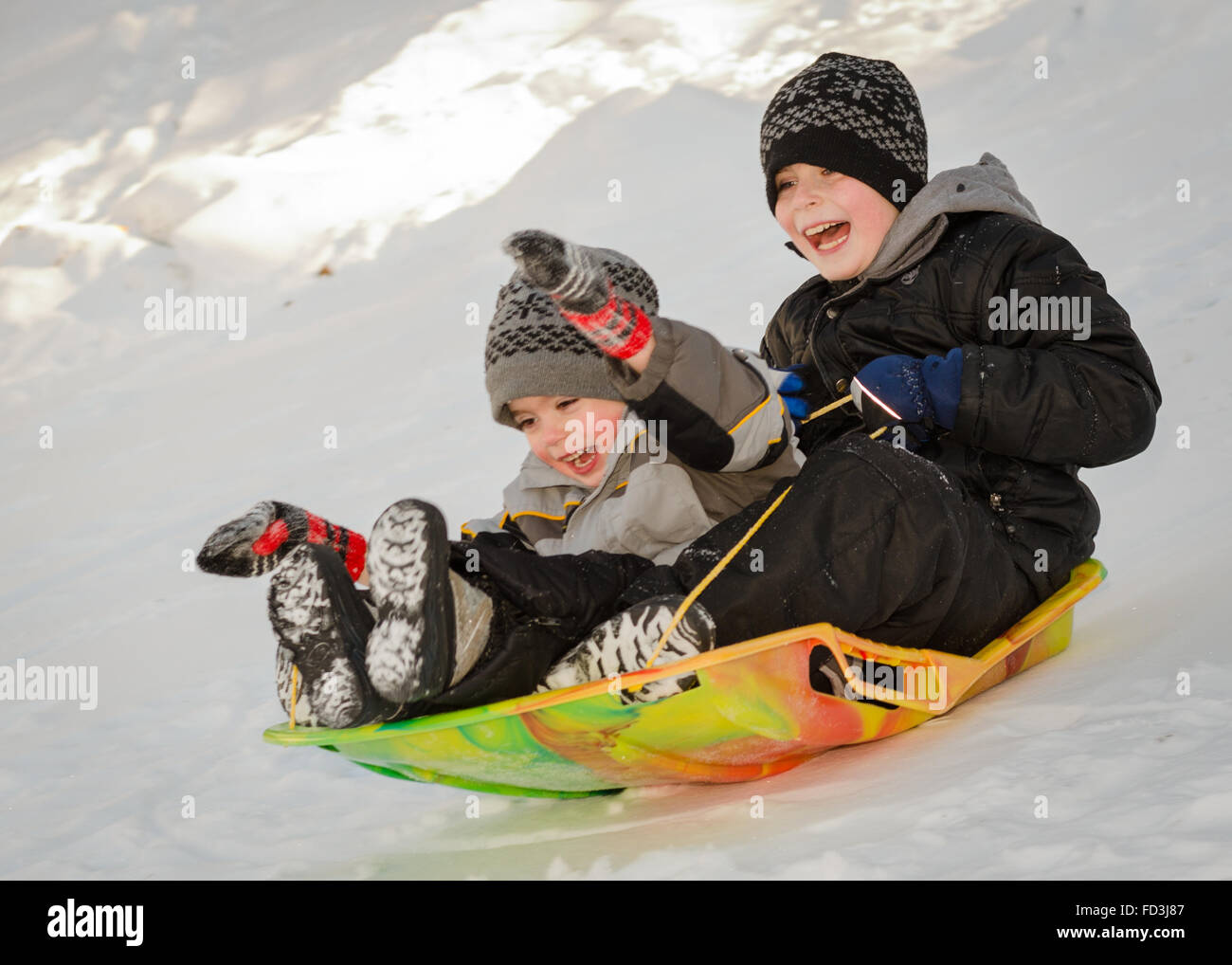 Two brothers sliding down the hill on a December morning laughing despite the subzero temperatures making their cheeks red. Stock Photo