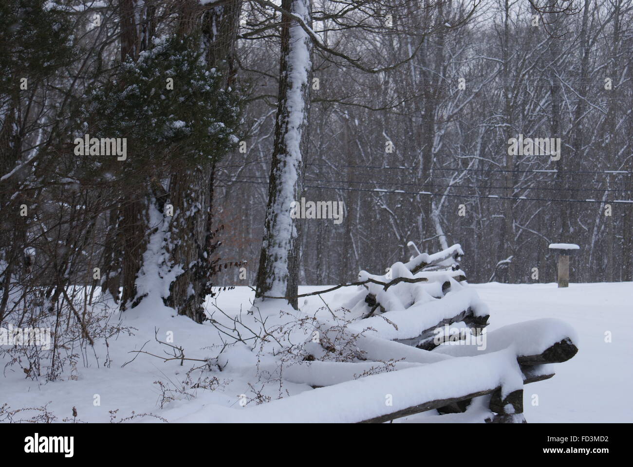 Beautiful split rail fence buried in snow. With snow covered trees near by. Stock Photo