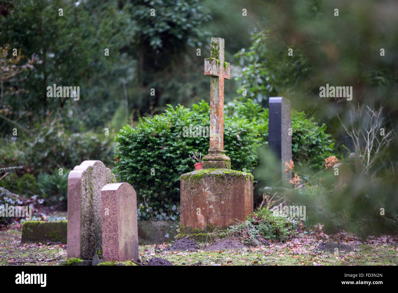 Schwerin, Germany. 27th Jan, 2016. A grave stone in the shape of a cross is seen at the old cemetery in Schwerin, Germany, 27 January 2016. On 28 January 2016 the Parliament of Mecklenburg-Vorpommern is advising the new funeral laws for the northeastern German state. The controversial reform proposals from the Left party for a new burial laws that will see the abolition of the cemetery contraints to allow urn burials in the garden. Photo: Jens Buettner/ZB/dpa/Alamy Live News Stock Photo