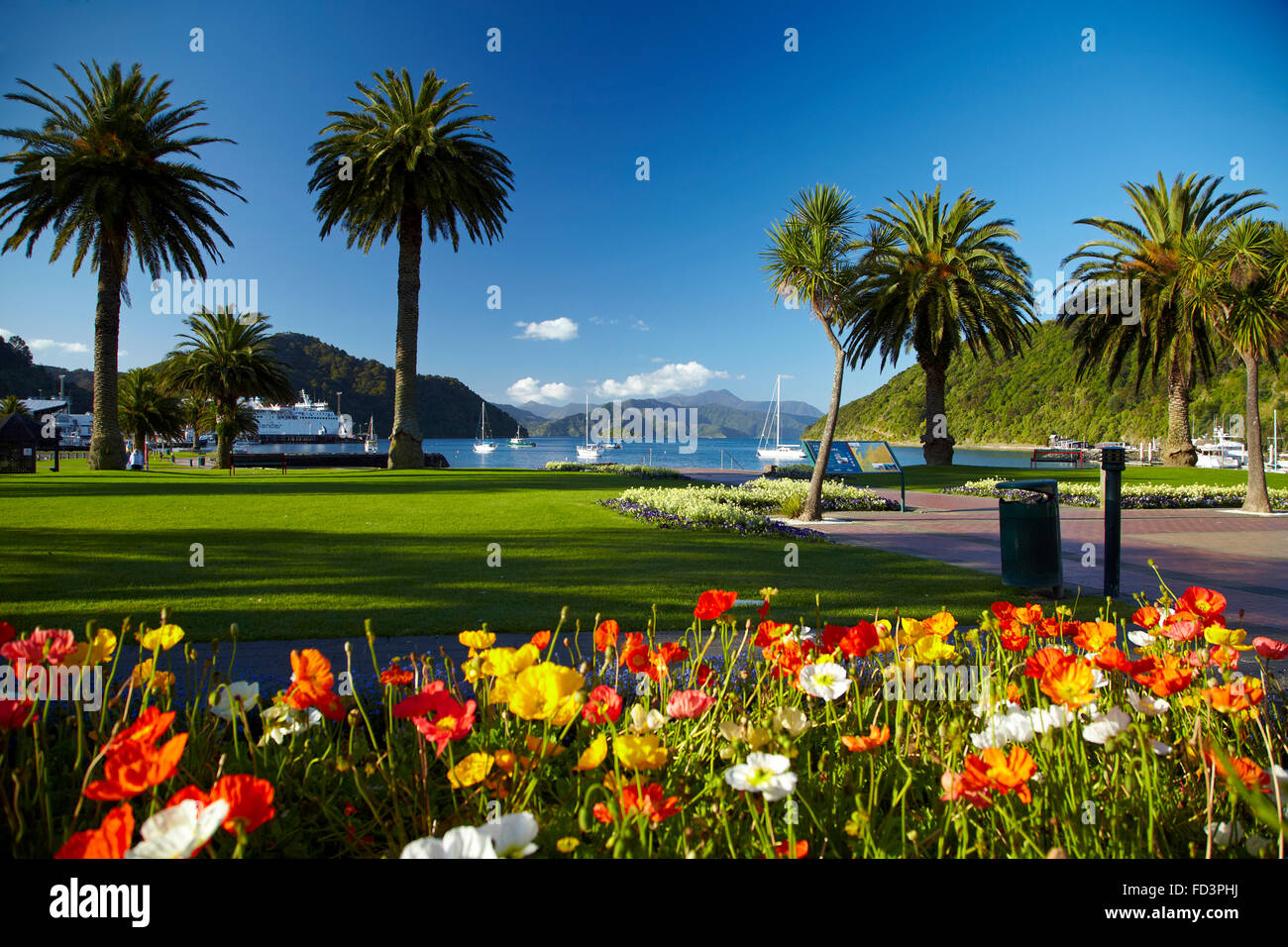 Flowers and palm trees, Foreshore Reserve, Picton, Marlborough Sounds, South Island, New Zealand Stock Photo