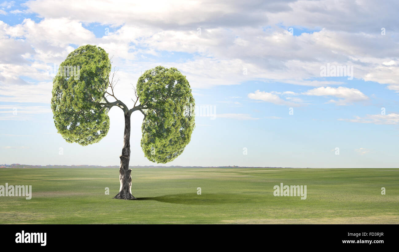Conceptual image of green tree shaped like human lungs Stock Photo - Alamy