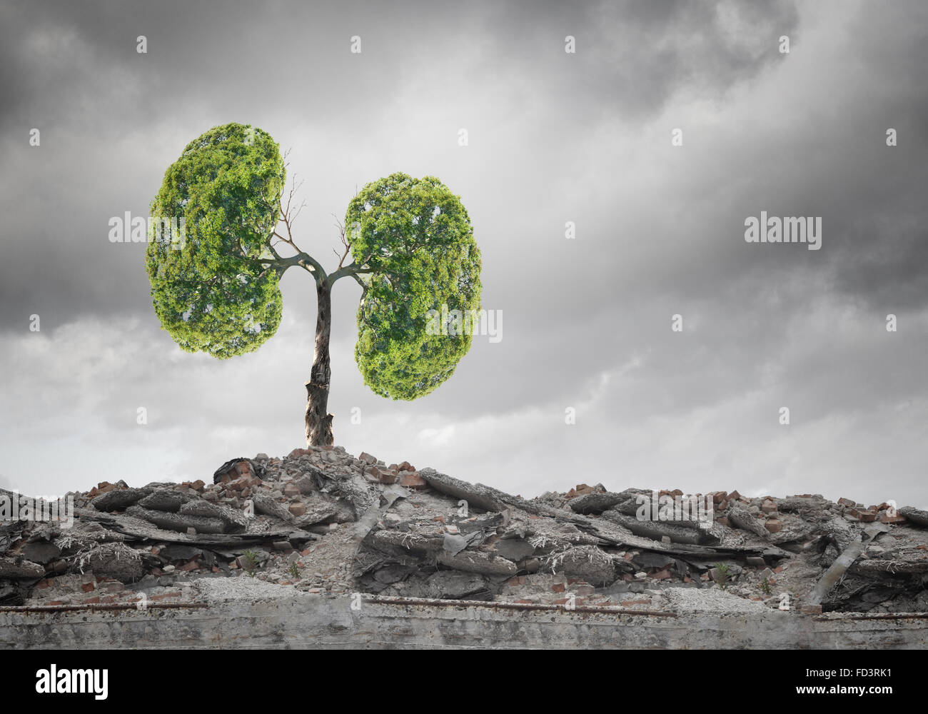 Conceptual image of green tree shaped like human lungs Stock Photo - Alamy