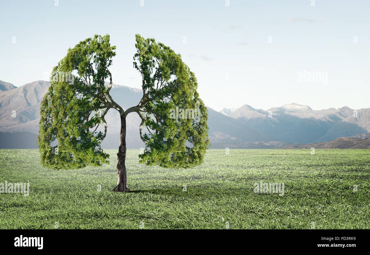 Conceptual image of green tree shaped like human lungs Stock Photo Alamy