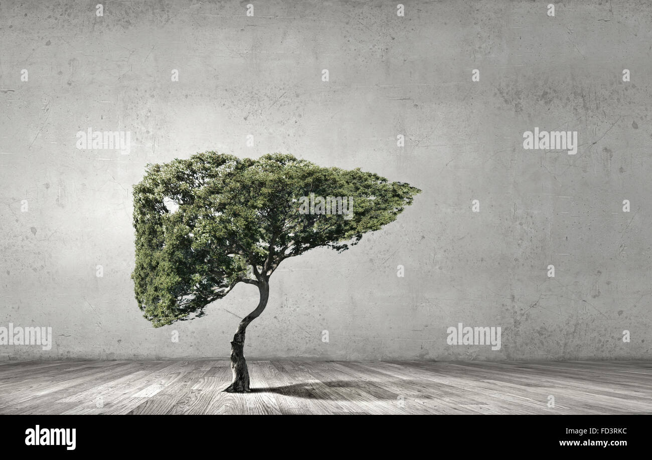 Conceptual image of green tree shaped like human liver Stock Photo - Alamy