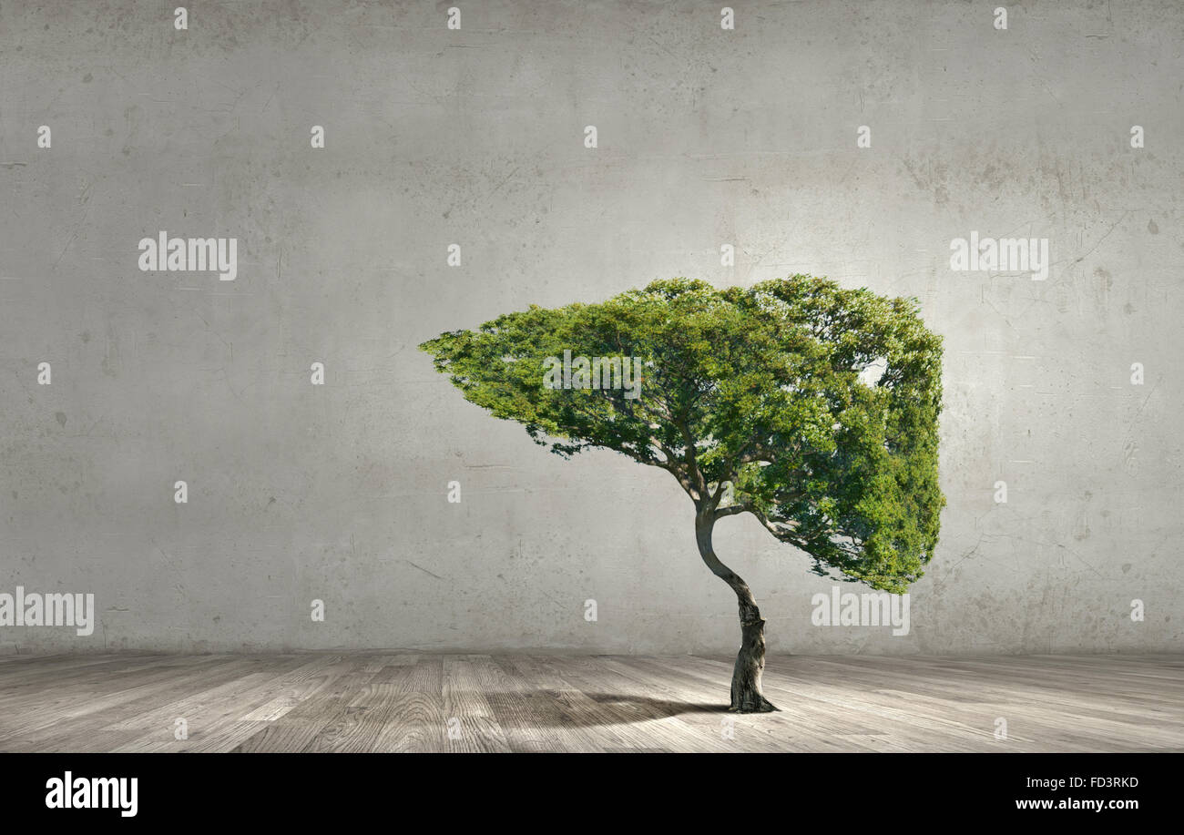 Conceptual image of green tree shaped like human liver Stock Photo - Alamy