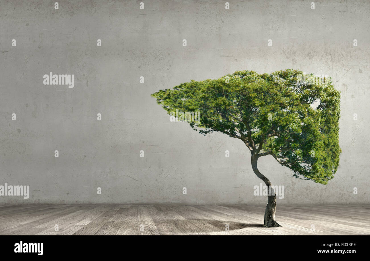 Conceptual image of green tree shaped like human liver Stock Photo - Alamy