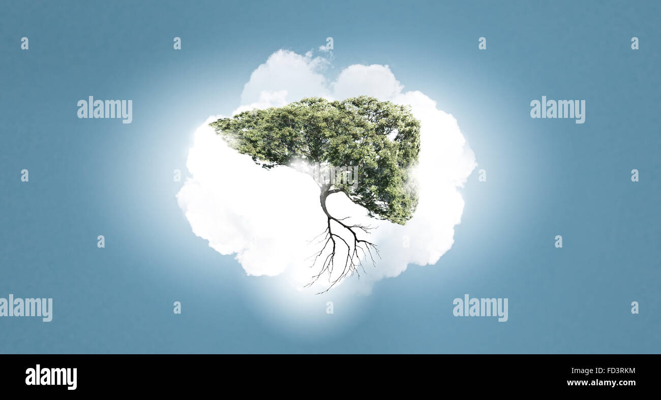 Conceptual image of green tree shaped like human liver Stock Photo - Alamy