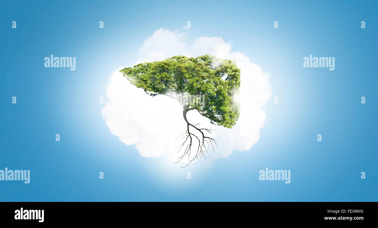 Conceptual image of green tree shaped like human liver Stock Photo - Alamy