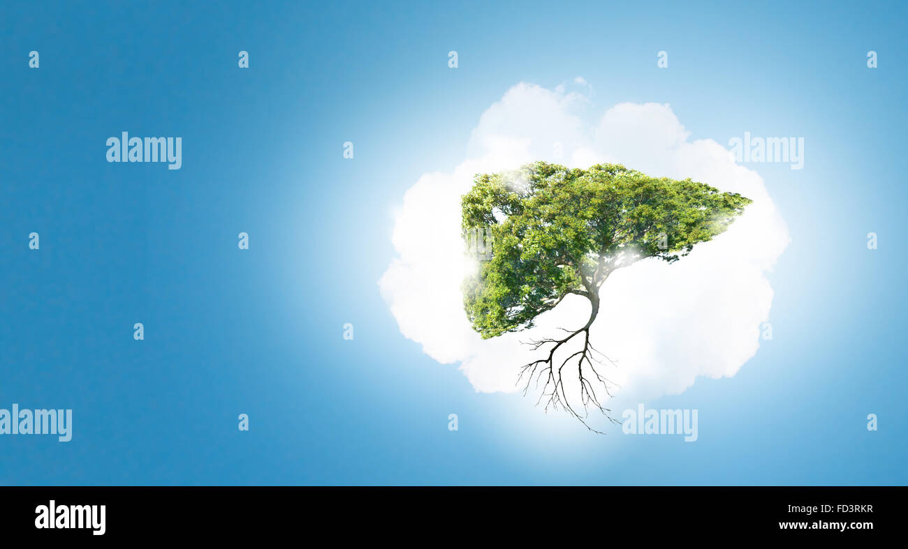 Conceptual image of green tree shaped like human liver Stock Photo - Alamy