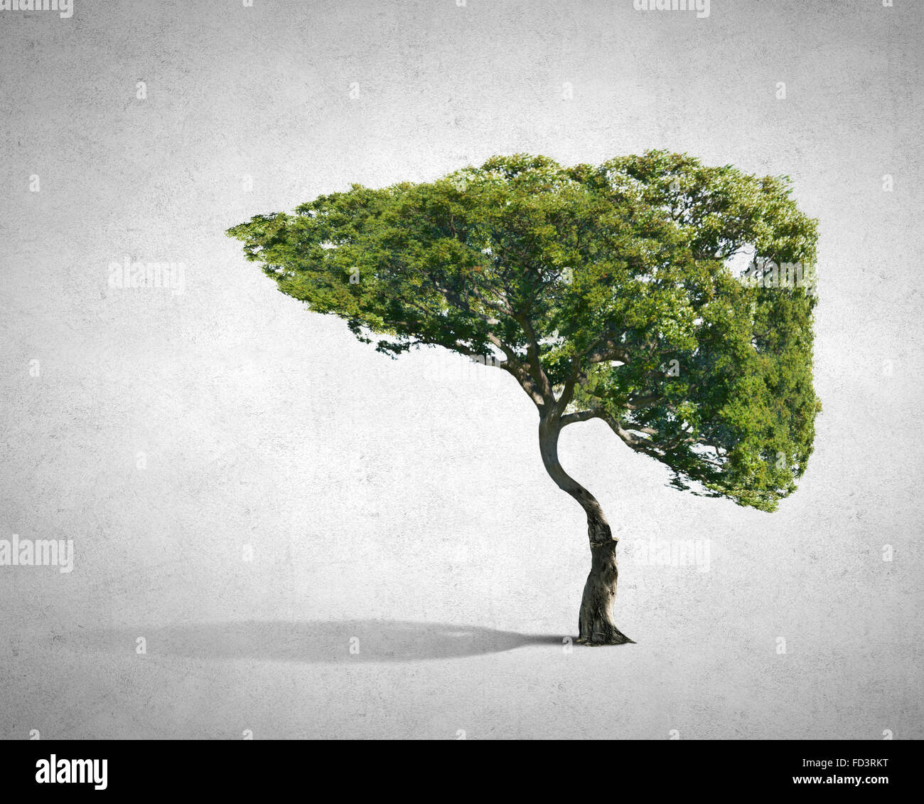 Conceptual image of green tree shaped like human liver Stock Photo - Alamy