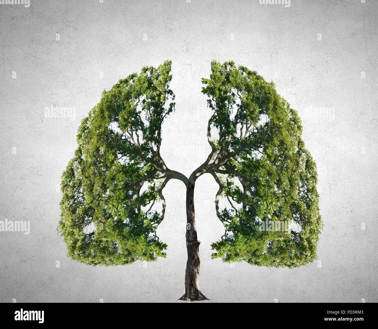 Conceptual image of green tree shaped like human lungs Stock Photo - Alamy