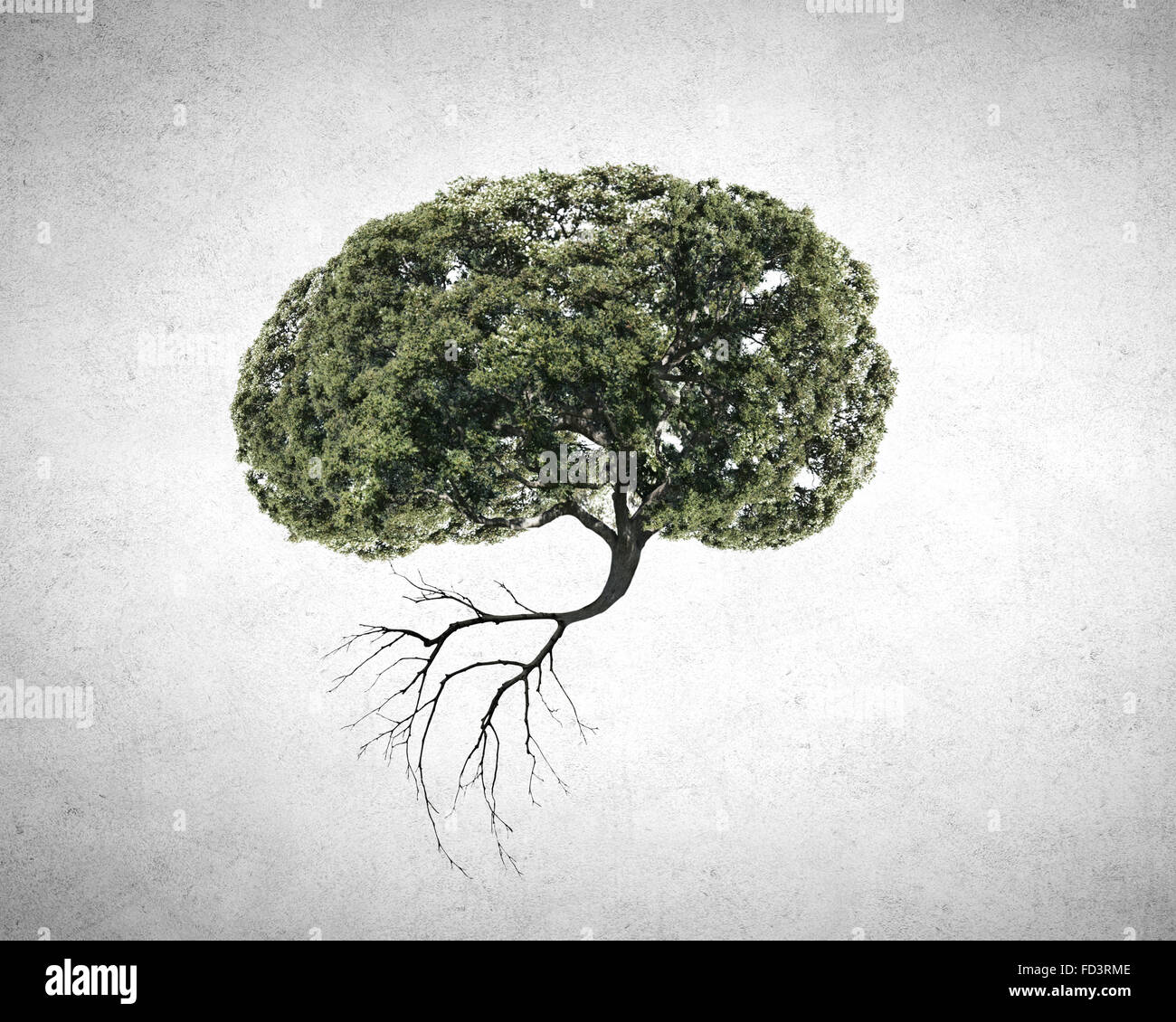 Conceptual image of green tree shaped like brain Stock Photo Alamy