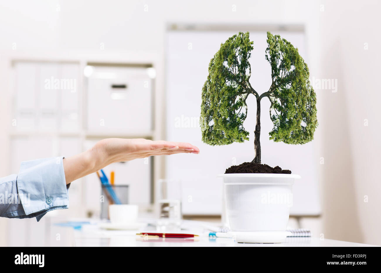 Close up of human hand and tree in flower pot Stock Photo - Alamy