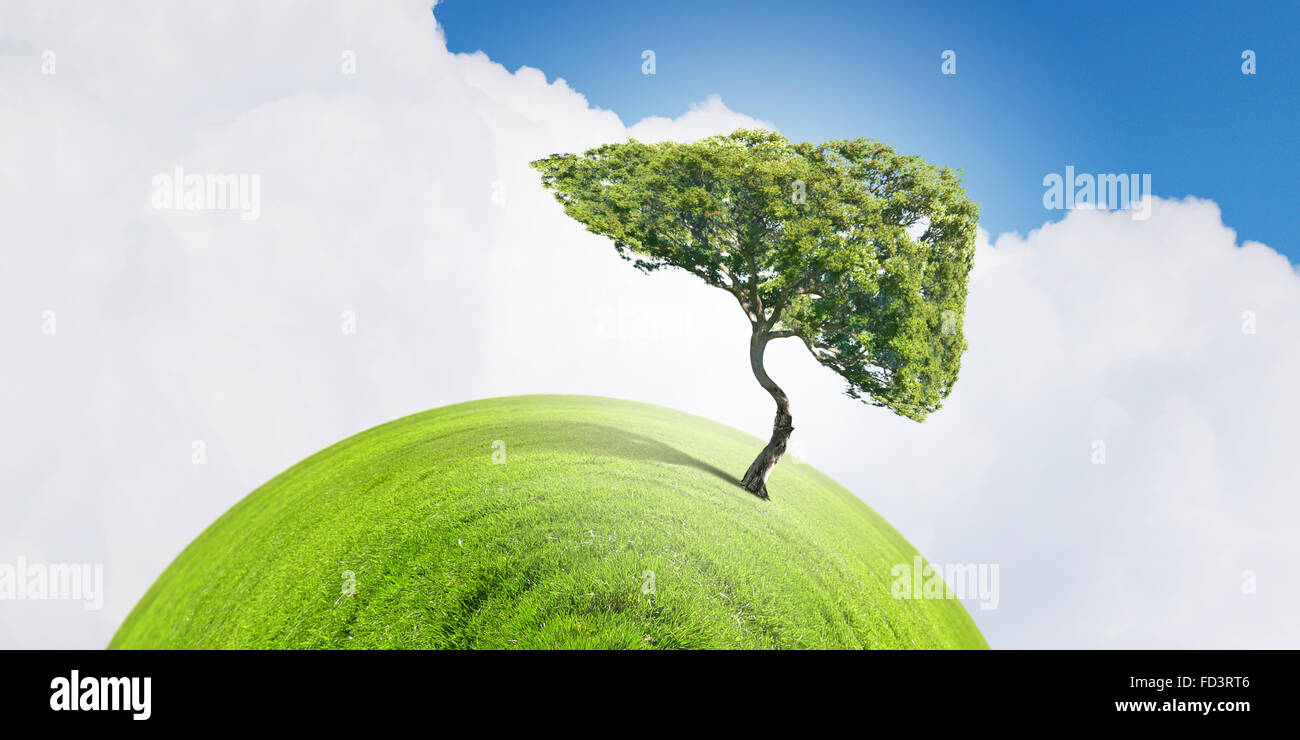 Conceptual image of green tree shaped like human liver Stock Photo - Alamy