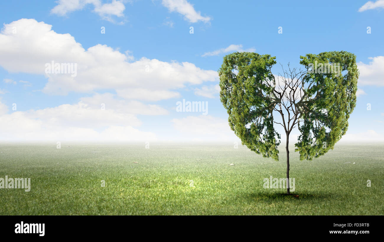 Conceptual image of green tree shaped like human lungs Stock Photo - Alamy