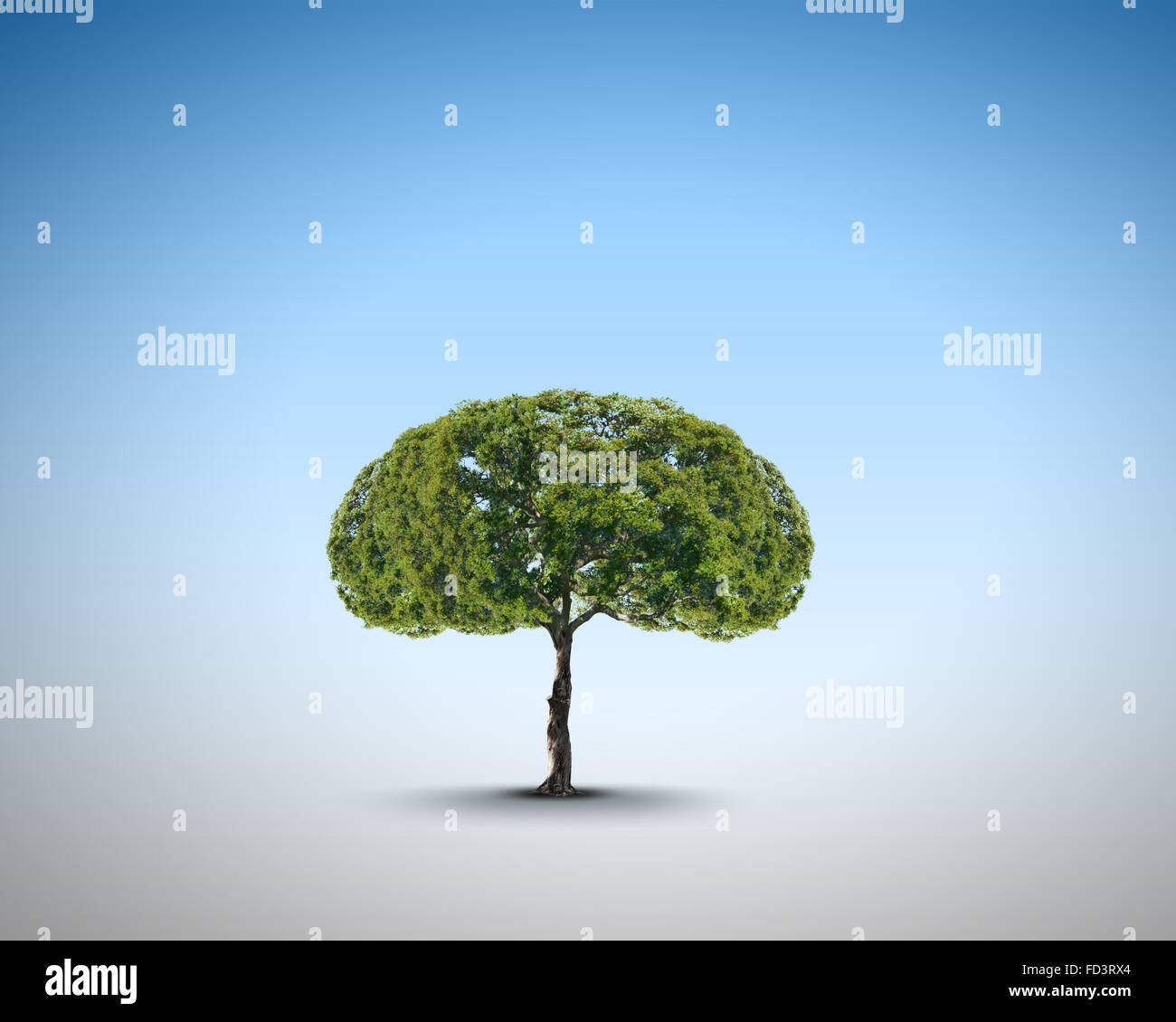 Conceptual image of green tree shaped like brain Stock Photo