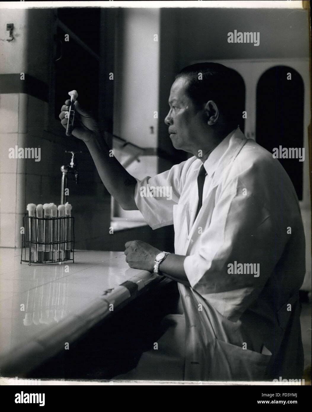 1962 - Work of the Pasteur Institute in Bangkok.: A Thai doctor in charge of the anti-snake bit serum at the Institute, examines the distilled poison of six different deadly snakes. This treated poison will now be injected into a horse, and allowed to remain for some weeks. Later the blood is taken from the horse and the anti-venom serum will be crystallised and bottled ready for use. © Keystone Pictures USA/ZUMAPRESS.com/Alamy Live News Stock Photo
