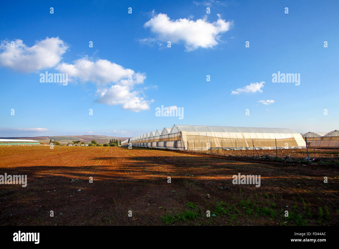 A row of Greenhouses, Photographed in Poria Illit, Lower Galilee, Israel Stock Photo