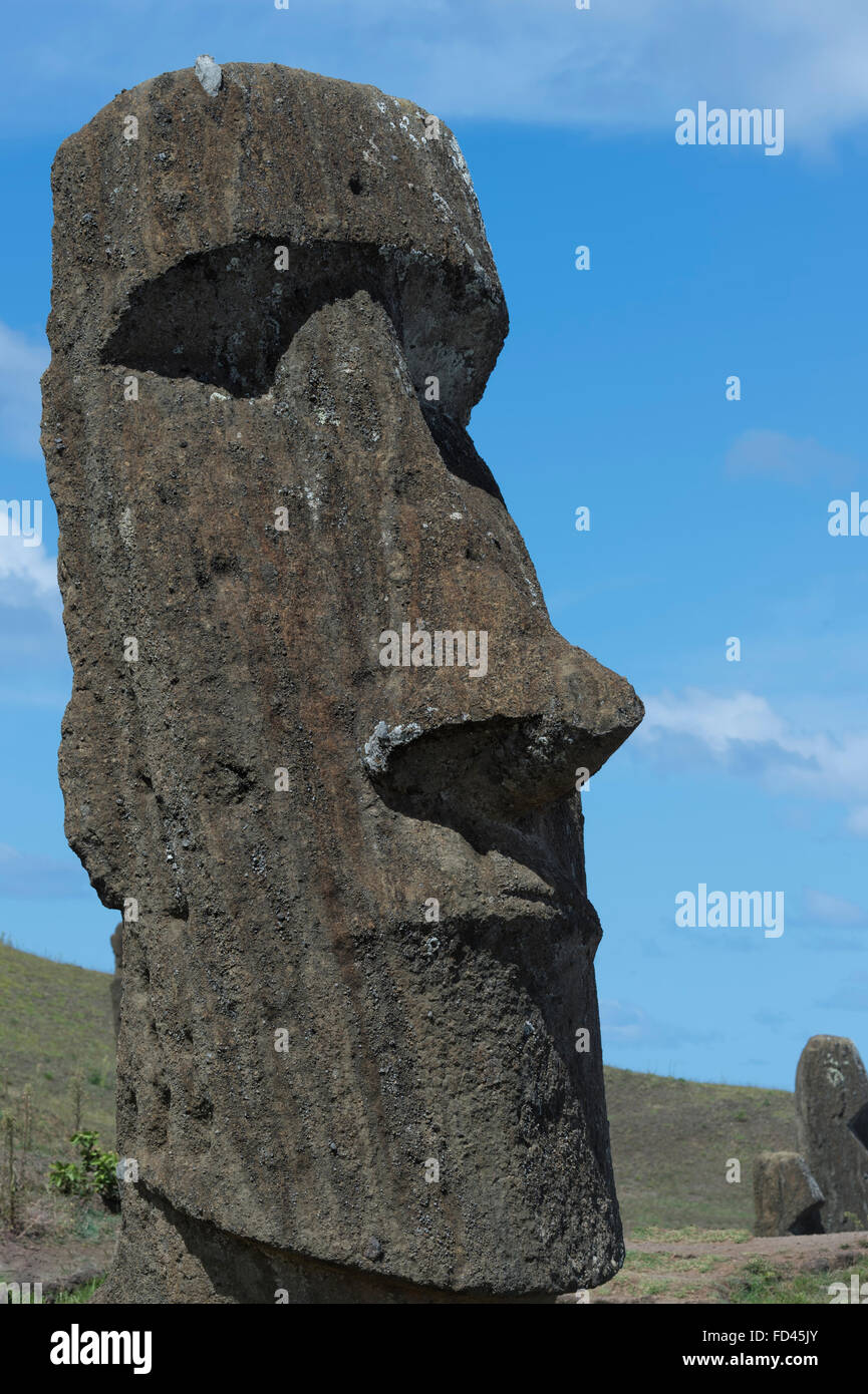 Chile, Easter Island, Moai in Rano Raraku, Rano Raraku, Rapa Nui National Park, Unesco World Heritage Stock Photo